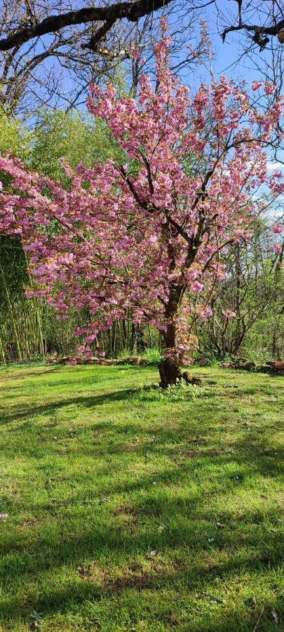 Aux Couleurs D'Esteil Sainte-Nathalène Kültér fotó